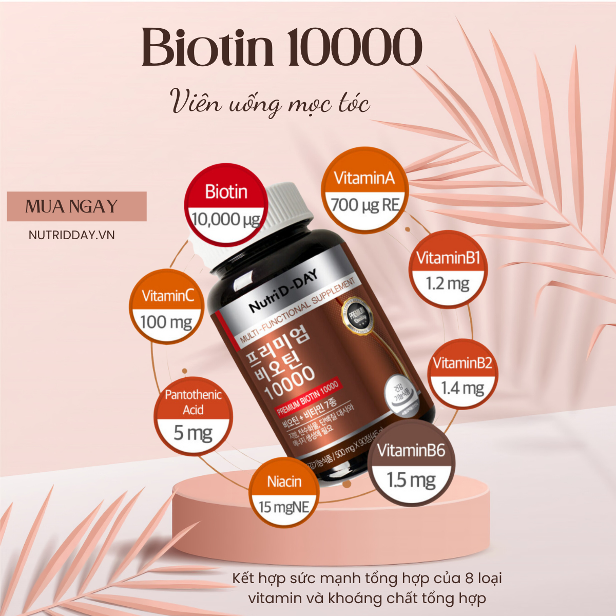 Nutri D-Day PREMIUM Biotin 10000: Nạp năng lượng cho ngày dài hứng khởi